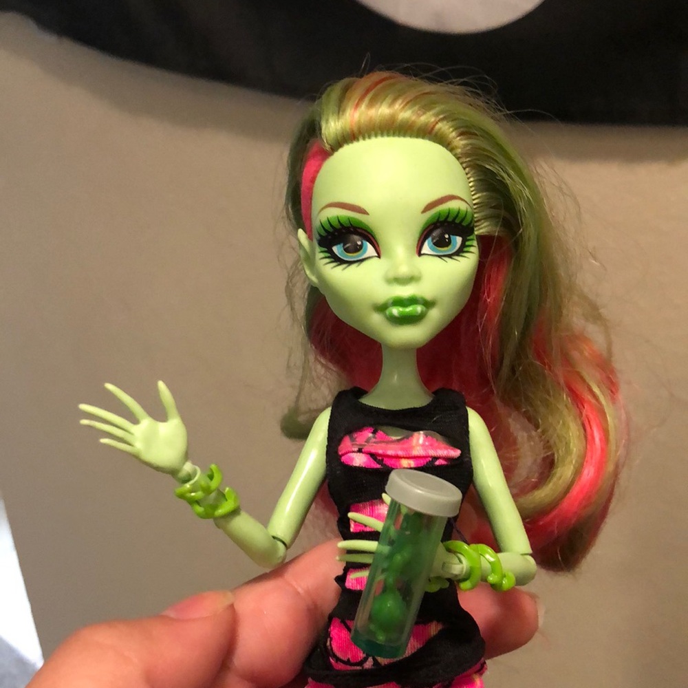 Coffin Bean Venus Mcflytrap